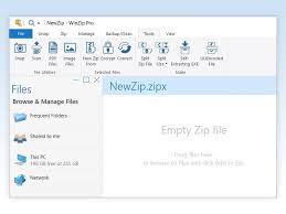 WinZip Pro crack